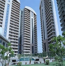 Chintels Serenity